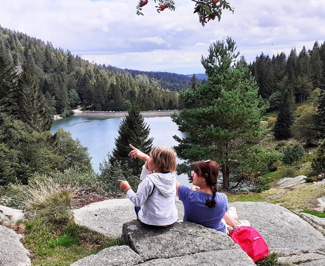 Chalet Hohneck 4 Etoiles, Vieux Bois Et Pierre, Spa, Sauna, Borne De Recharge Stosswihr Eksteriør billede