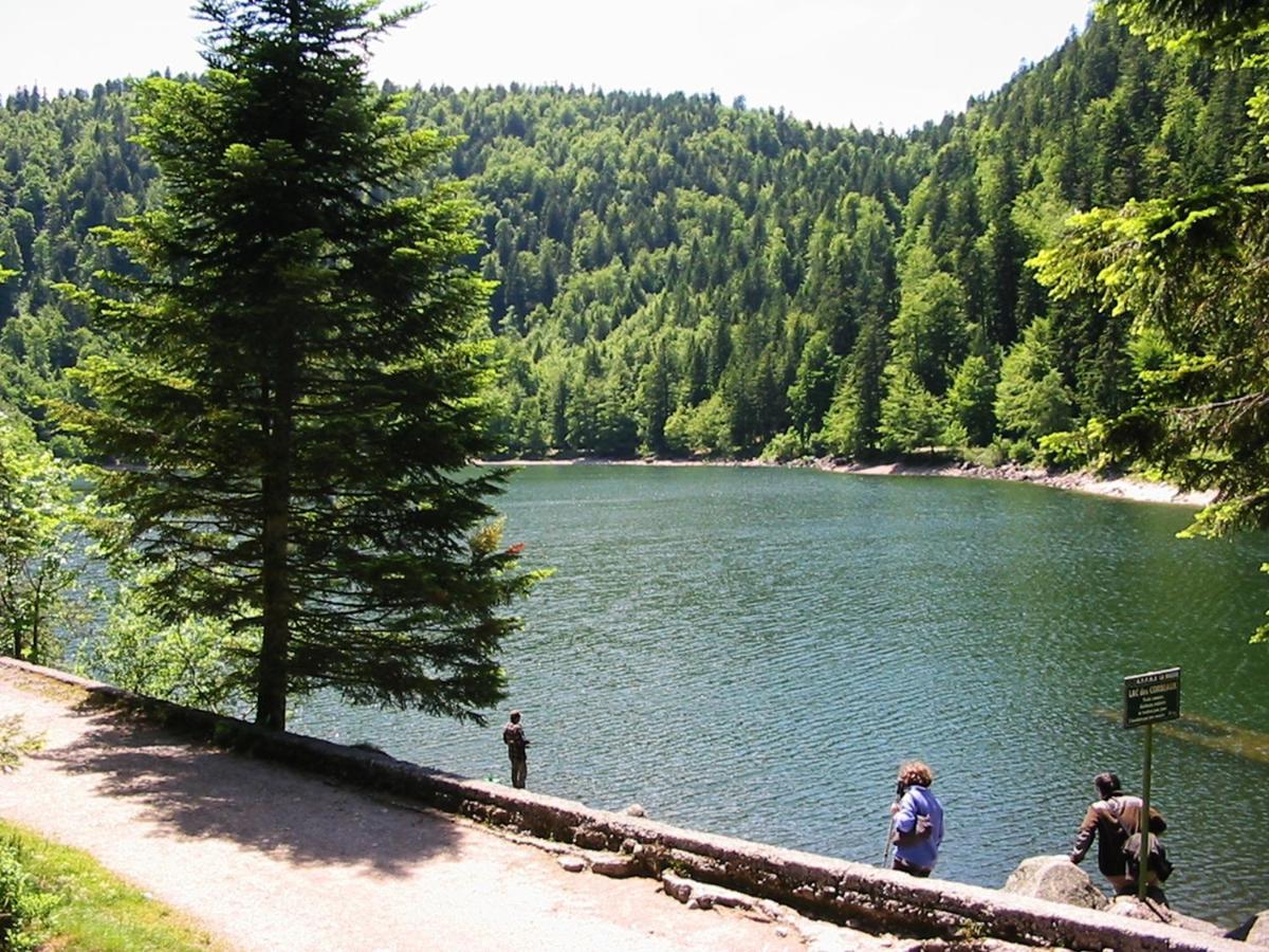 Chalet Hohneck 4 Etoiles, Vieux Bois Et Pierre, Spa, Sauna, Borne De Recharge Stosswihr Eksteriør billede
