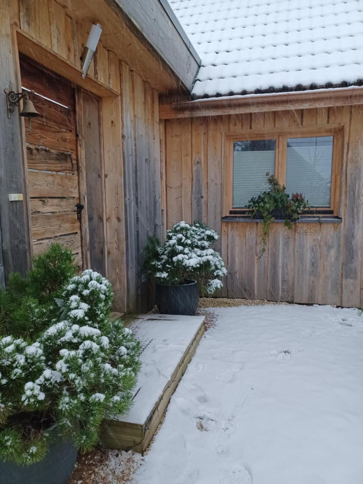 Chalet Hohneck 4 Etoiles, Vieux Bois Et Pierre, Spa, Sauna, Borne De Recharge Stosswihr Eksteriør billede
